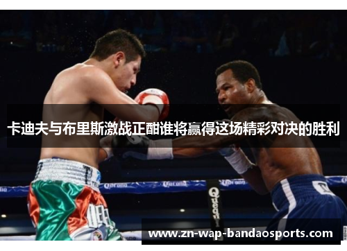 卡迪夫与布里斯激战正酣谁将赢得这场精彩对决的胜利