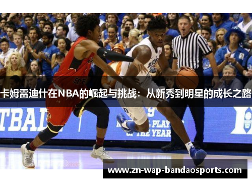 卡姆雷迪什在NBA的崛起与挑战:从新秀到明星的成长之路