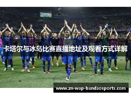 卡塔尔与冰岛比赛直播地址及观看方式详解